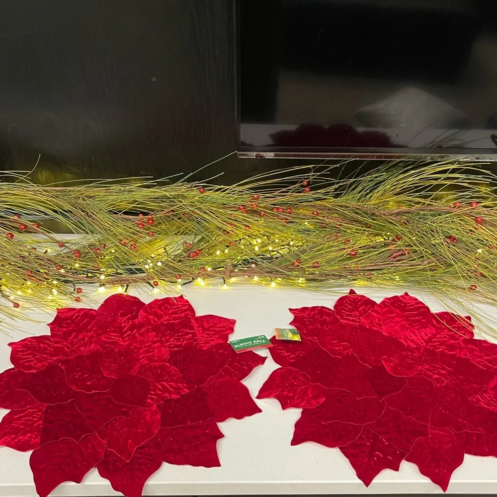NWT $20 Hobby Lobby Burgandy velvet Poinsettia Placemats set of 2